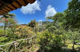 Large Property Estate for Sale in Santana, Madeira Large Property Estate for Sale in Santana, Madeira