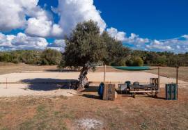 Rustic land with 8280 m2 located in Ribeira de Alte in Paderne, Albufeira Rustic land with 8280 m2 located in Ribeira de Alte in Paderne, Albufeira