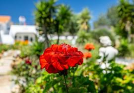 3 Bedroom Quinta with large Pool, Gardens and quiet country location. Near Moncarapacho.