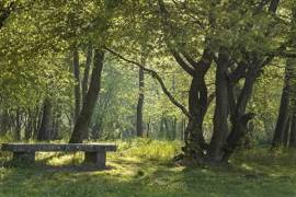 Château du Francport Apartments For Sale In Choisy-au-Bac Château du Francport Apartments For Sale In Choisy-au-Bac