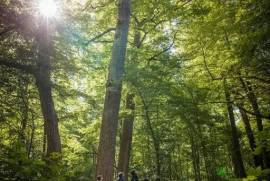 Château du Francport Apartments For Sale In Choisy-au-Bac Château du Francport Apartments For Sale In Choisy-au-Bac