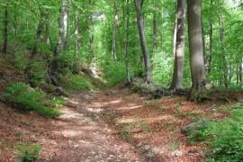 Château du Francport Apartments For Sale In Choisy-au-Bac Château du Francport Apartments For Sale In Choisy-au-Bac