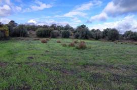 9800 m2 plot of land with several not registered ruins in Salir - Loulé