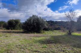 9800 m2 plot of land with several not registered ruins in Salir - Loulé