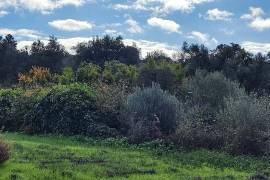 9800 m2 plot of land with several not registered ruins in Salir - Loulé