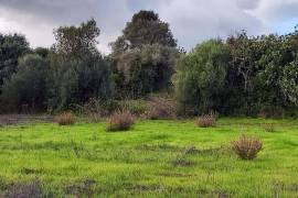 9800 m2 plot of land with several not registered ruins in Salir - Loulé