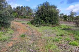 9800 m2 plot of land with several not registered ruins in Salir - Loulé