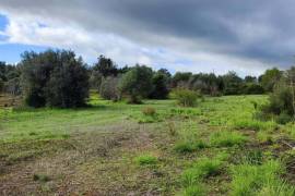 9800 m2 plot of land with several not registered ruins in Salir - Loulé