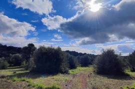 9800 m2 plot of land with several not registered ruins in Salir - Loulé