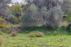 9800 m2 plot of land with several not registered ruins in Salir - Loulé