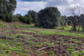 9800 m2 plot of land with several not registered ruins in Salir - Loulé