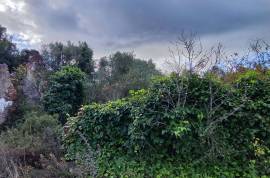 9800 m2 plot of land with several not registered ruins in Salir - Loulé