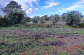 9800 m2 plot of land with several not registered ruins in Salir - Loulé