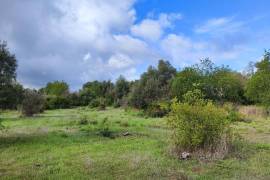 9800 m2 plot of land with several not registered ruins in Salir - Loulé