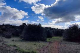 9800 m2 plot of land with several not registered ruins in Salir - Loulé