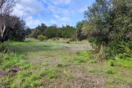 9800 m2 plot of land with several not registered ruins in Salir - Loulé