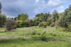9800 m2 plot of land with several not registered ruins in Salir - Loulé