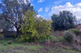 9800 m2 plot of land with several not registered ruins in Salir - Loulé