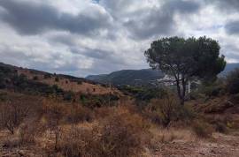Land with open views next to Ombria Resort - Loulé Land with open views next to Ombria Resort - Loulé