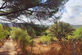 Land with open views next to Ombria Resort - Loulé Land with open views next to Ombria Resort - Loulé