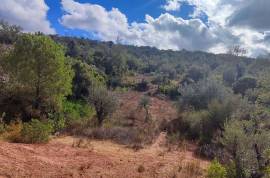 Plots of land with 5000m2 in Fonte da Benémola - Querença Loulé Plots of land with 5000m2 in Fonte da Benémola - Querença Loulé