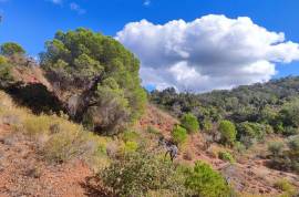 Plots of land with 5000m2 in Fonte da Benémola - Querença Loulé Plots of land with 5000m2 in Fonte da Benémola - Querença Loulé