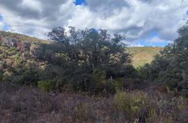 Plots of land with 5000m2 in Fonte da Benémola - Querença Loulé Plots of land with 5000m2 in Fonte da Benémola - Querença Loulé