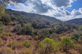 Plots of land with 5000m2 in Fonte da Benémola - Querença Loulé Plots of land with 5000m2 in Fonte da Benémola - Querença Loulé