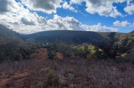 Plots of land with 5000m2 in Fonte da Benémola - Querença Loulé Plots of land with 5000m2 in Fonte da Benémola - Querença Loulé