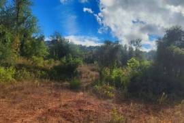 Plots of land with 5000m2 in Fonte da Benémola - Querença Loulé Plots of land with 5000m2 in Fonte da Benémola - Querença Loulé