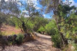 Plots of land with 5000m2 in Fonte da Benémola - Querença Loulé Plots of land with 5000m2 in Fonte da Benémola - Querença Loulé