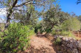 Plots of land with 5000m2 in Fonte da Benémola - Querença Loulé Plots of land with 5000m2 in Fonte da Benémola - Querença Loulé