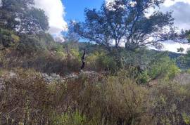 Plots of land with 5000m2 in Fonte da Benémola - Querença Loulé Plots of land with 5000m2 in Fonte da Benémola - Querença Loulé