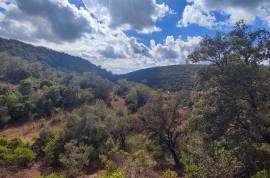 Plots of land with 5000m2 in Fonte da Benémola - Querença Loulé Plots of land with 5000m2 in Fonte da Benémola - Querença Loulé