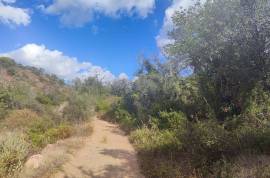 Plots of land with 5000m2 in Fonte da Benémola - Querença Loulé Plots of land with 5000m2 in Fonte da Benémola - Querença Loulé