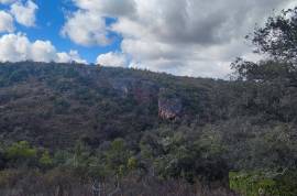 Plots of land with 5000m2 in Fonte da Benémola - Querença Loulé Plots of land with 5000m2 in Fonte da Benémola - Querença Loulé