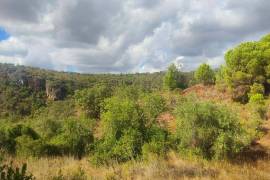 Plots of land with 5000m2 in Fonte da Benémola - Querença Loulé