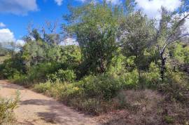 Plots of land with 5000m2 in Fonte da Benémola - Querença Loulé Plots of land with 5000m2 in Fonte da Benémola - Querença Loulé