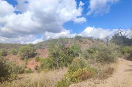 Plots of land with 5000m2 in Fonte da Benémola - Querença Loulé Plots of land with 5000m2 in Fonte da Benémola - Querença Loulé