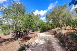 Plots of land with 5000m2 in Fonte da Benémola - Querença Loulé Plots of land with 5000m2 in Fonte da Benémola - Querença Loulé
