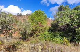 Plots of land with 5000m2 in Fonte da Benémola - Querença Loulé Plots of land with 5000m2 in Fonte da Benémola - Querença Loulé