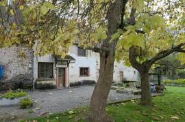 For Sale 3 Houses, 2 Barns, Gardens. Lussac-les-Églises. 87