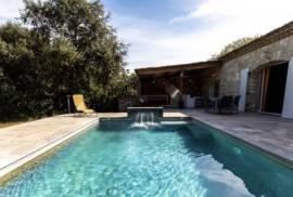 Detached Villa with Swimming Pool Detached Villa with Swimming Pool