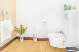 Nativa Contemporary Infinity Views: Luxury Rainforest Estate with Pacific Ocean Views