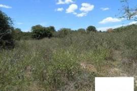 16 Rai Of Land For Sale