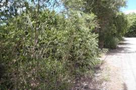 16 Rai Of Land For Sale