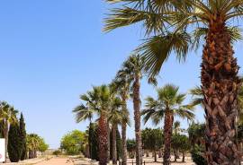 Contemporary Luxury Villa in La Marina Urbanization, Costa Blanca Contemporary Luxury Villa in La Marina Urbanization, Costa Blanca