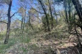 Terrain boisé à vendre sur le secteur de Chateaudouble