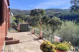 Terreno Agrícola em Pedrógão Pequeno