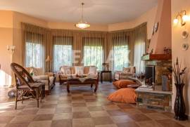 House 385 sq.m for sale House 385 sq.m for sale